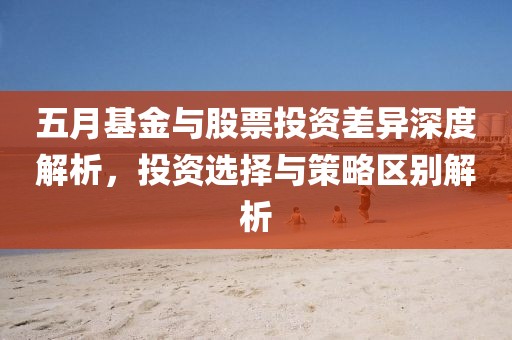 五月基金与股票投资差异深度解析，投资选择与策略区别解析