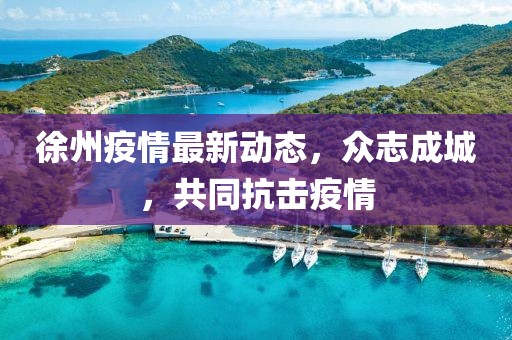 徐州疫情最新动态，众志成城，共同抗击疫情
