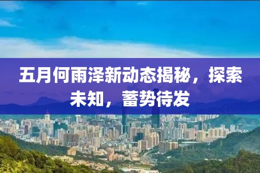 五月何雨泽新动态揭秘，探索未知，蓄势待发