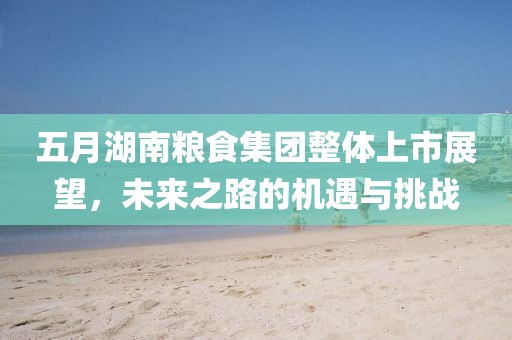 五月湖南粮食集团整体上市展望，未来之路的机遇与挑战