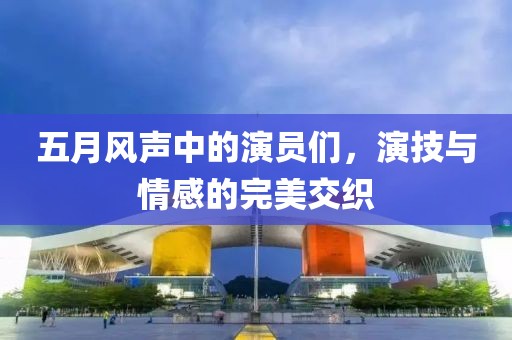 五月风声中的演员们，演技与情感的完美交织