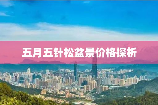 五月五针松盆景价格探析