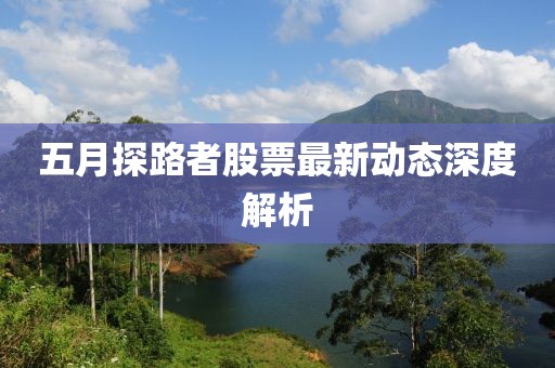 五月探路者股票最新动态深度解析