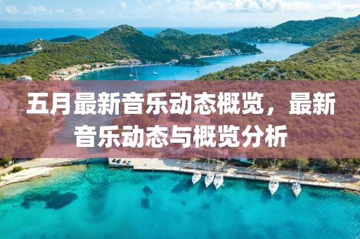 五月最新音乐动态概览，最新音乐动态与概览分析