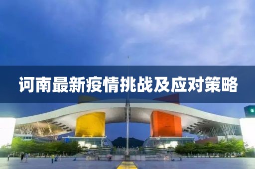 诃南最新疫情挑战及应对策略