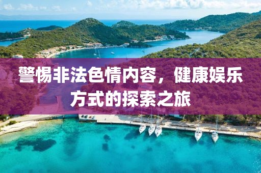 警惕非法色情内容，健康娱乐方式的探索之旅