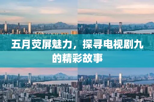 五月荧屏魅力，探寻电视剧九的精彩故事