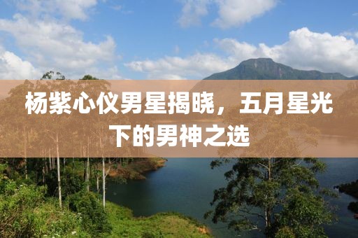 杨紫心仪男星揭晓，五月星光下的男神之选