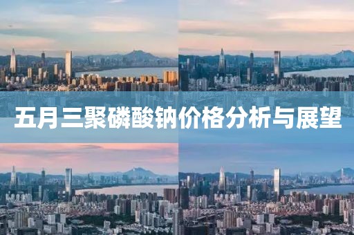 五月三聚磷酸钠价格分析与展望