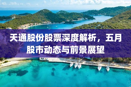 天通股份股票深度解析，五月股市动态与前景展望