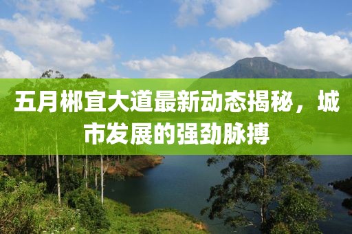 五月郴宜大道最新动态揭秘，城市发展的强劲脉搏