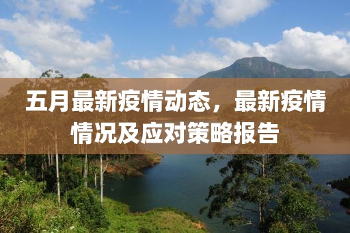 五月最新疫情动态，最新疫情情况及应对策略报告