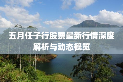 五月任子行股票最新行情深度解析与动态概览