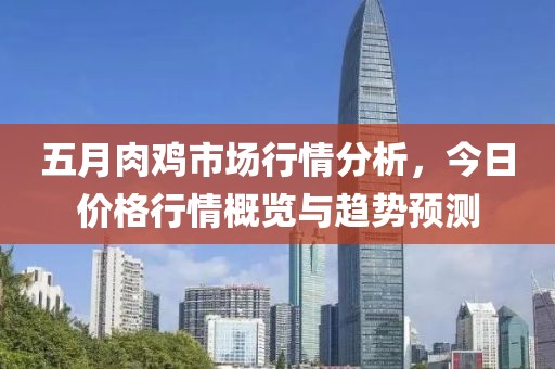 五月肉鸡市场行情分析，今日价格行情概览与趋势预测