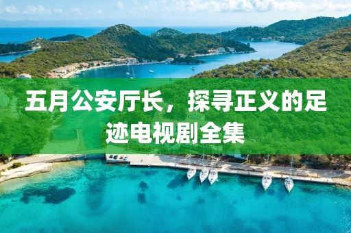 五月公安厅长，探寻正义的足迹电视剧全集