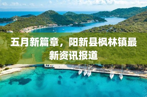 五月新篇章，阳新县枫林镇最新资讯报道