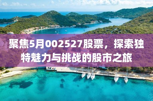 聚焦5月002527股票，探索独特魅力与挑战的股市之旅