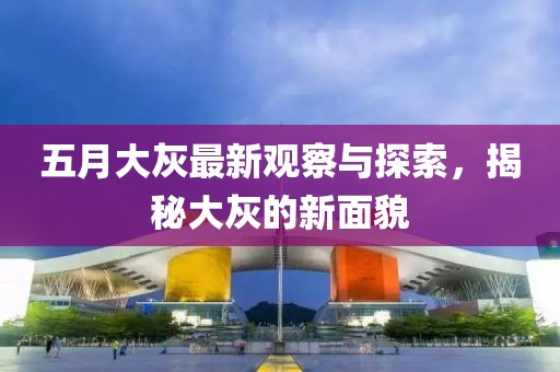 五月大灰最新观察与探索，揭秘大灰的新面貌