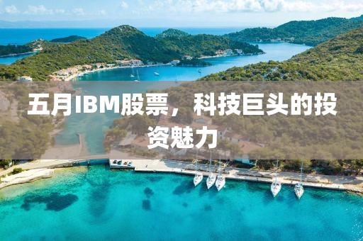 五月IBM股票，科技巨头的投资魅力