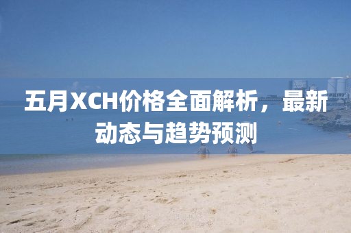 五月XCH价格全面解析，最新动态与趋势预测