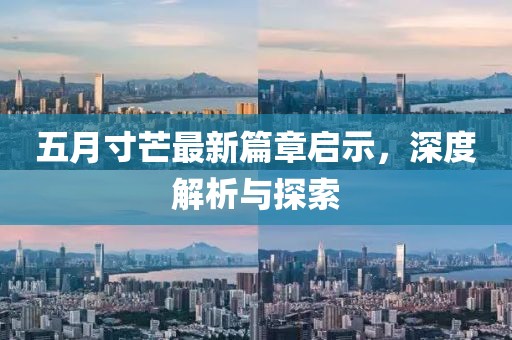 五月寸芒最新篇章启示，深度解析与探索