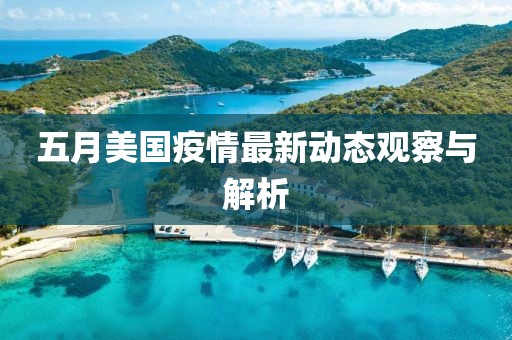 五月美国疫情最新动态观察与解析