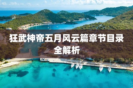 狂武神帝五月风云篇章节目录全解析