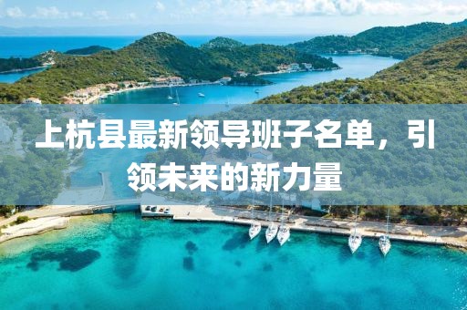 上杭县最新领导班子名单，引领未来的新力量