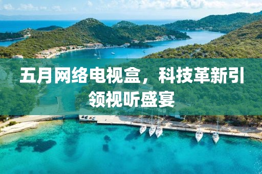 五月网络电视盒，科技革新引领视听盛宴