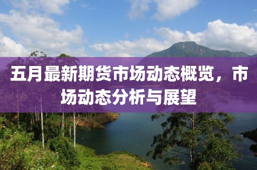 五月最新期货市场动态概览，市场动态分析与展望