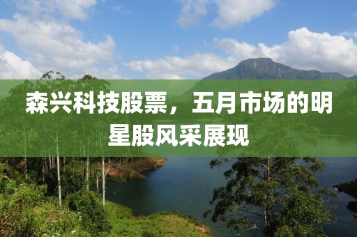 森兴科技股票，五月市场的明星股风采展现