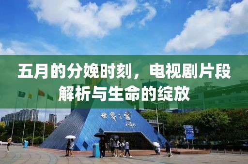 五月的分娩时刻，电视剧片段解析与生命的绽放