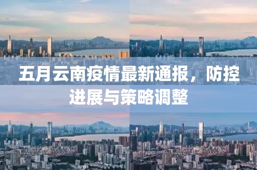 五月云南疫情最新通报，防控进展与策略调整