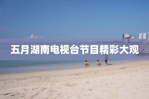 五月湖南电视台节目精彩大观