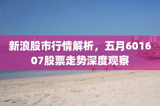 新浪股市行情解析，五月601607股票走势深度观察