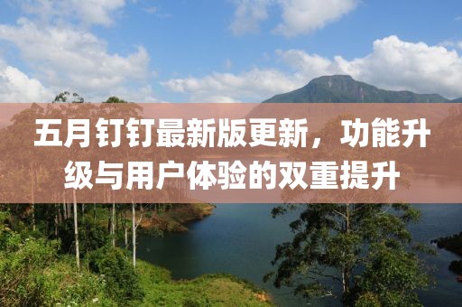 五月钉钉最新版更新，功能升级与用户体验的双重提升