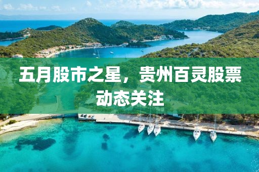 五月股市之星，贵州百灵股票动态关注