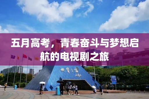 五月高考，青春奋斗与梦想启航的电视剧之旅