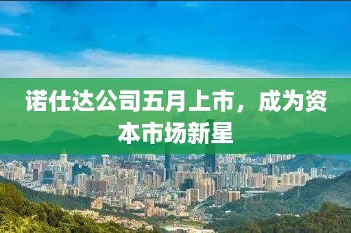 诺仕达公司五月上市，成为资本市场新星