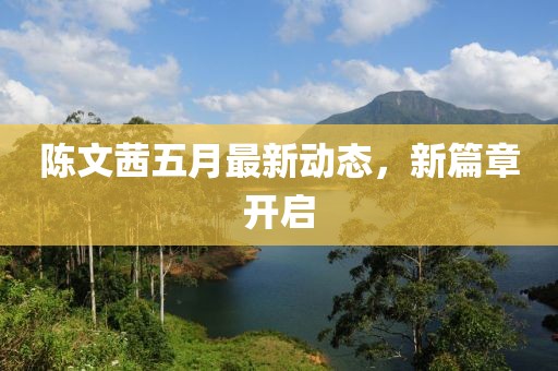 陈文茜五月最新动态，新篇章开启