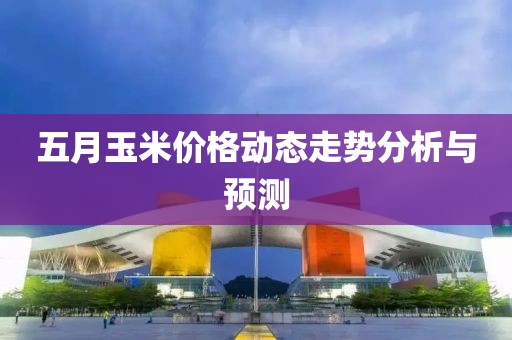 五月玉米价格动态走势分析与预测