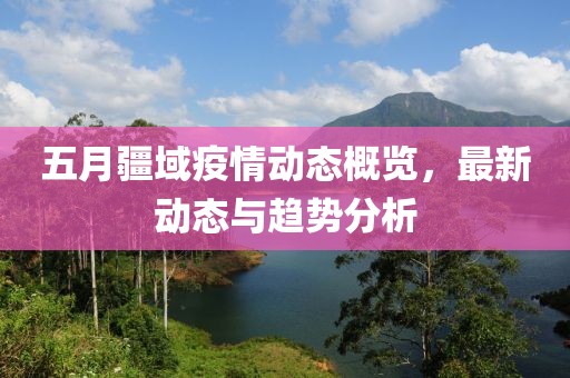 五月疆域疫情动态概览，最新动态与趋势分析