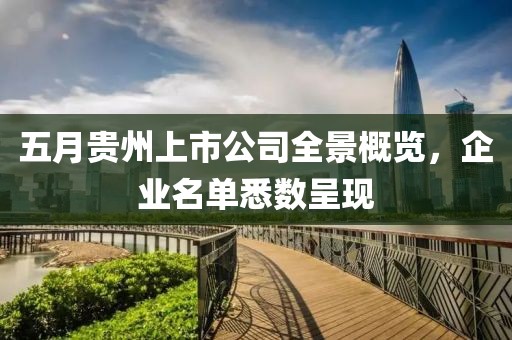 五月贵州上市公司全景概览，企业名单悉数呈现