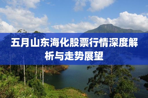 五月山东海化股票行情深度解析与走势展望