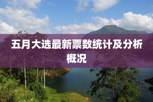 五月大选最新票数统计及分析概况