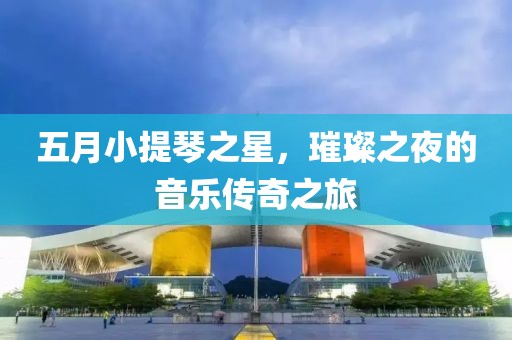 五月小提琴之星，璀璨之夜的音乐传奇之旅
