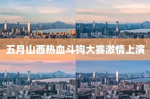 五月山西热血斗狗大赛激情上演