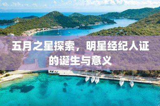 五月之星探索，明星经纪人证的诞生与意义