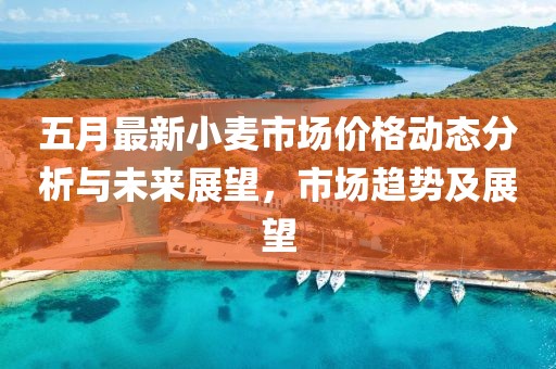 五月最新小麦市场价格动态分析与未来展望，市场趋势及展望