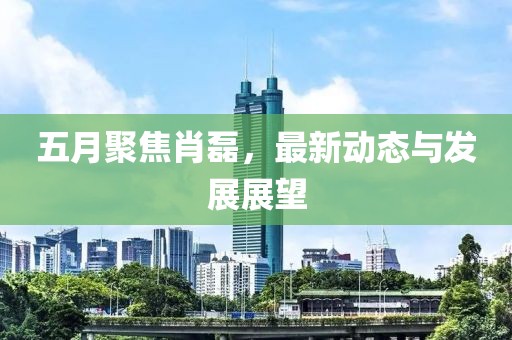 五月聚焦肖磊，最新动态与发展展望